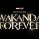 Image for article titled Black Panther: Wakanda Forever Will Reportedly Be Nearly 3 Hours Long, So You Better Get Your House In Order Now